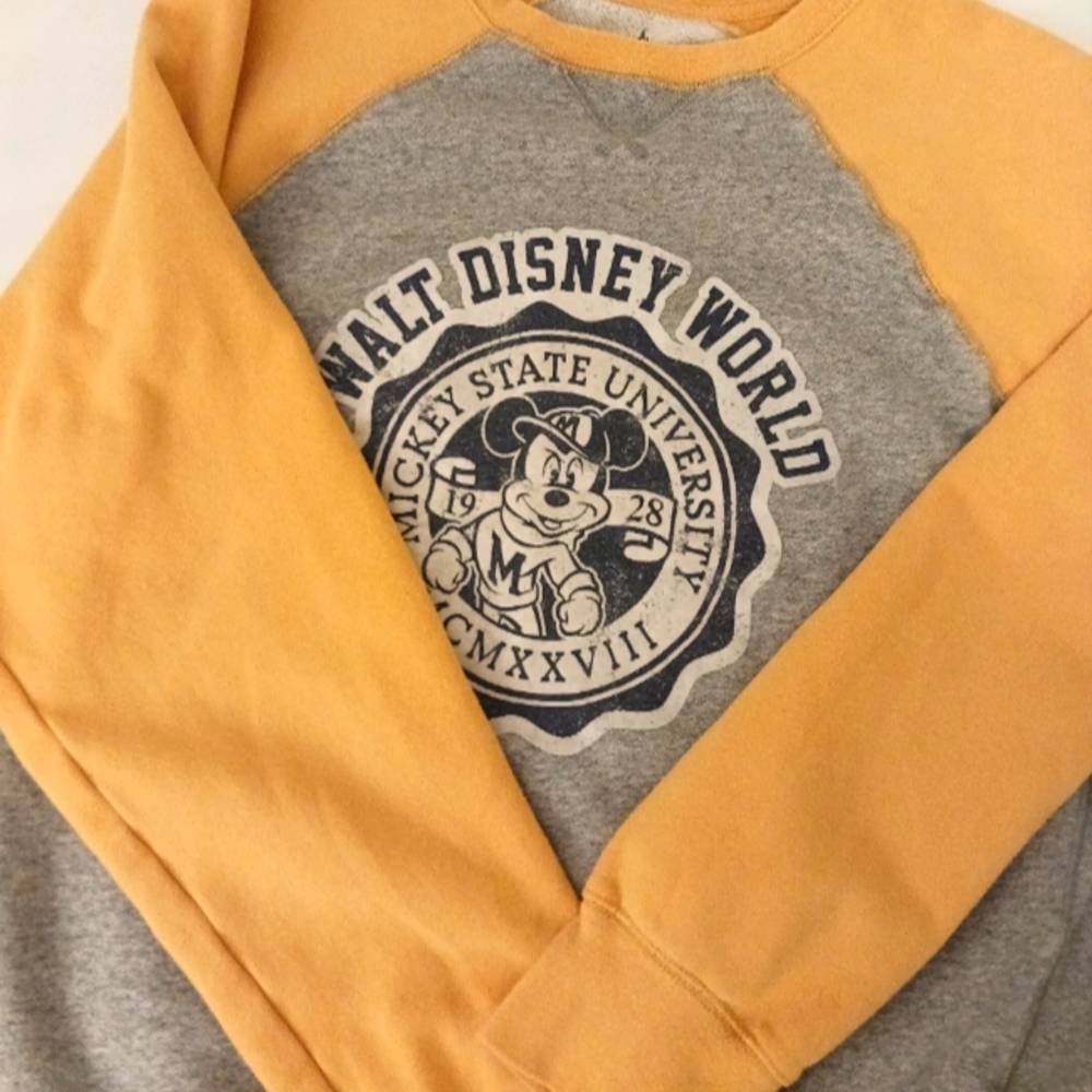 Disney World Sweatshirt